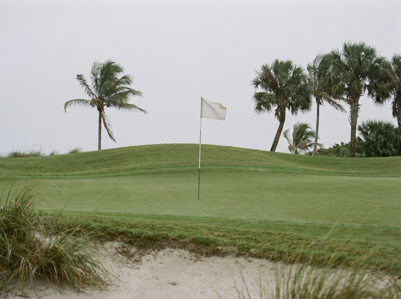 Un putting green con bandera blanca entre palmeras, bajo el cielo cubierto de la costa