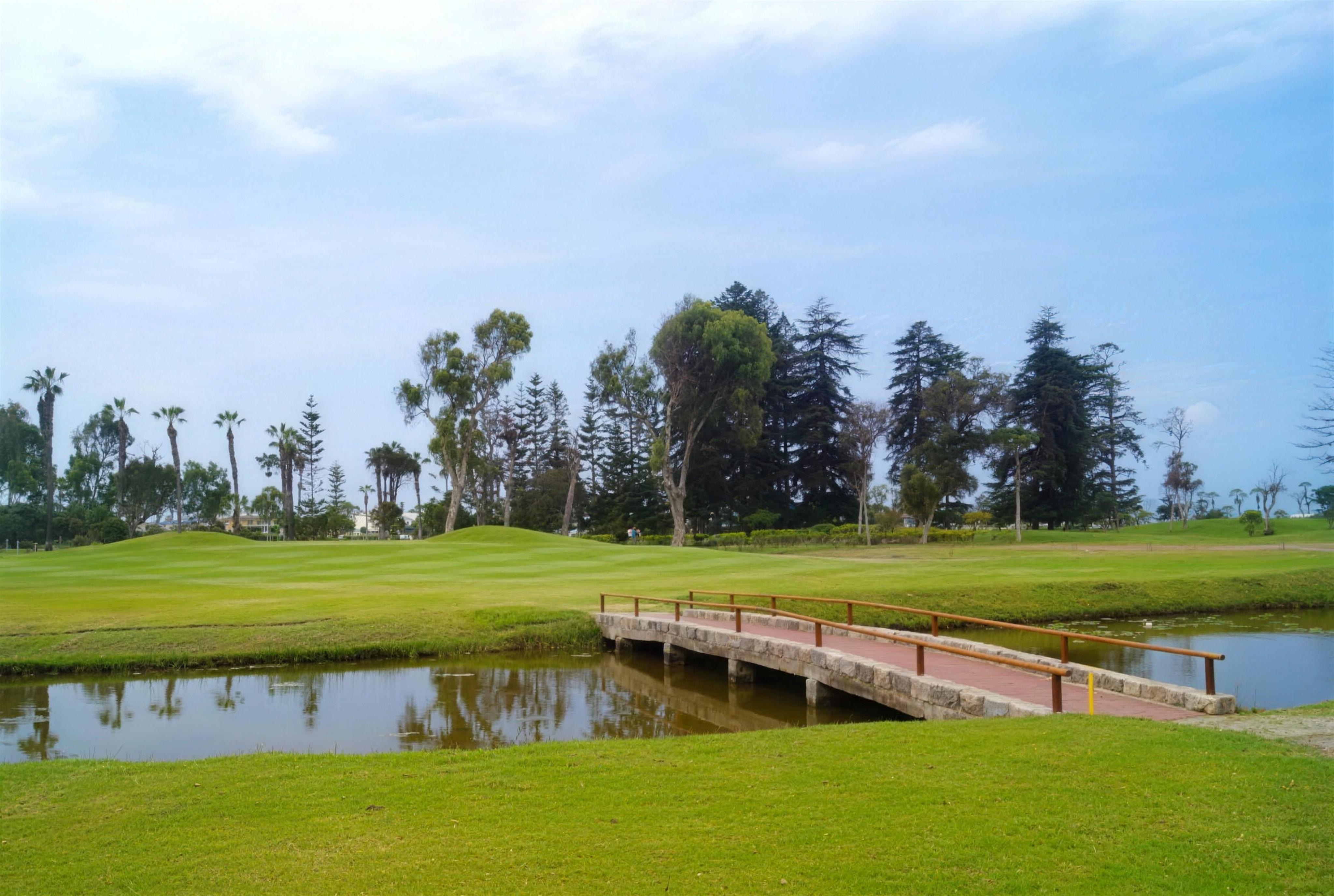 Campo de golf del Country Club de Villa, con palmeras y lagunas frente al mar